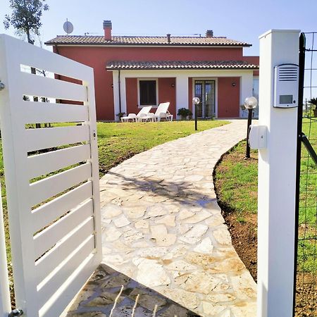 Villetta Fedora Immersa Nel Verde Cecina  Eksteriør billede