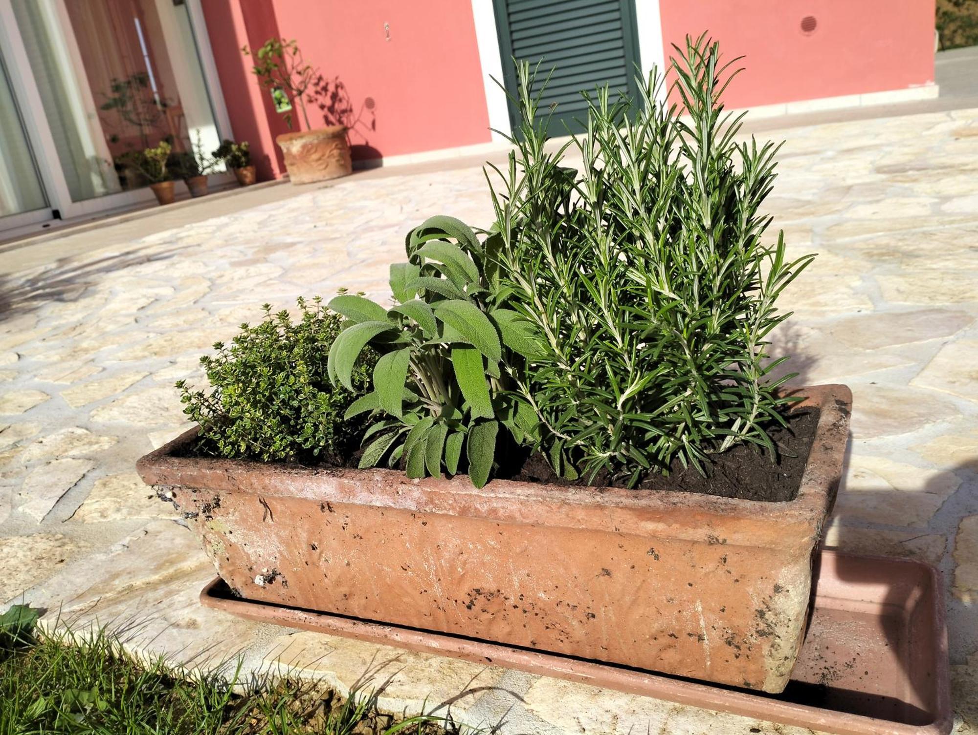Villetta Fedora Immersa Nel Verde Cecina  Eksteriør billede